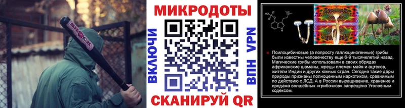 Псилоцибиновые грибы Cubensis  Кувшиново 