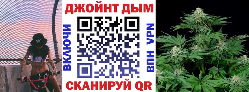 Конопля гибрид Кувшиново
